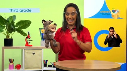 #AprendoEnCasa Inglés: Getting around town! (Tercer Grado - Primaria)