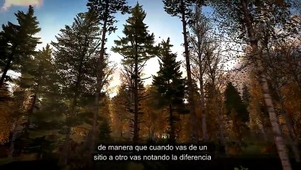 DiRT Rally: Diario de Desarrollo