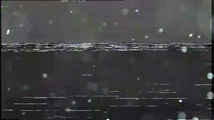 Talent Not Included: Exciting New Trailer Revealed! 🎬