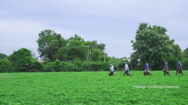 FULL CHICKEN ROAST _ Whole Fried Chicken Recipe Cooking in village _ Free Range
