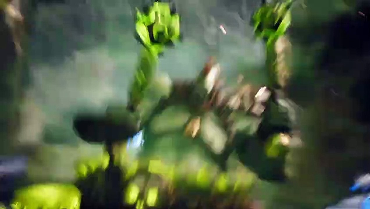 Paragon: Anuncio: Narbash