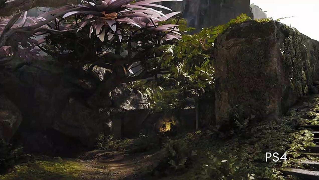 Paragon: PS4 Pro
