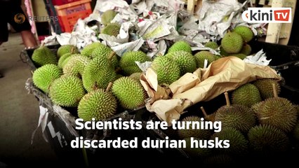 Saintis Singapura ubah sisa kulit durian jadi pembalut luka