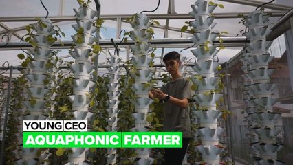 Young CEO: The young man who is changing the face of farming