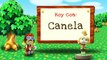 Animal Crossing New Leaf: Welcome amiibo: Canela