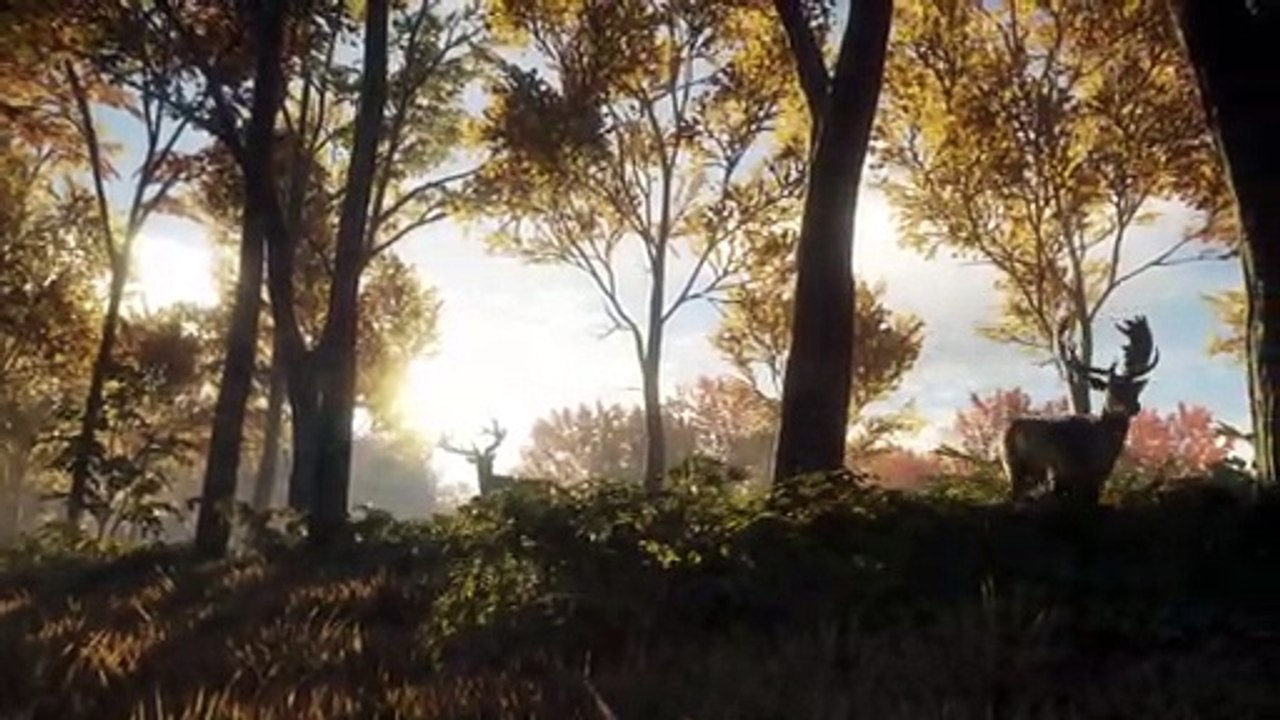 theHunter Call of the Wild: Tráiler de Anuncio