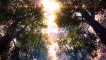 Horizon Zero Dawn: Trailer PSX 2016