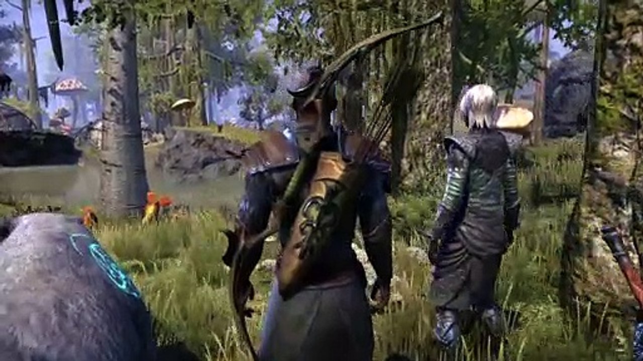 Elder Scrolls Morrowind: Los Warden