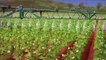 Farming Simulator 17: Platinum Expansion (DLC): Tráiler GC 2017