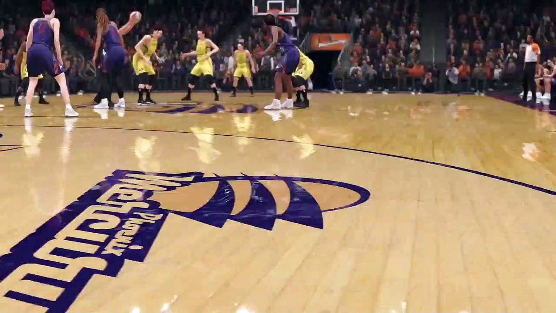 The WNBA: Baloncesto Femenino