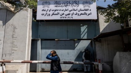 Mafia syndicate getting stronger in Afghanistan?