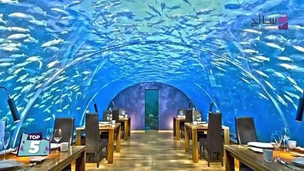 أغرب 5 مطاعم