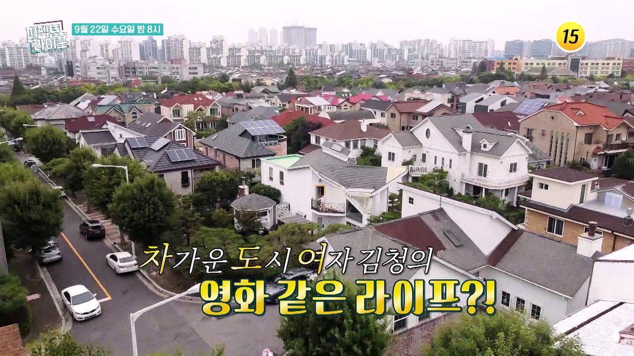 한가위 보름달에 전하는 효녀 김청의 소원은…?_퍼펙트 라이프 64회 예고 TV CHO...