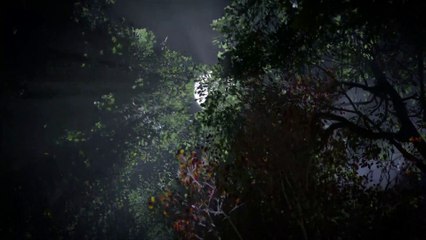 Shadow of the Colossus: Tráiler: PGW 2017 / Fecha de Lanzamiento