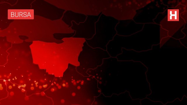 Oltaya takılan nesli tükenmekte olan 20 kiloluk keler balığı denize bırakıldı