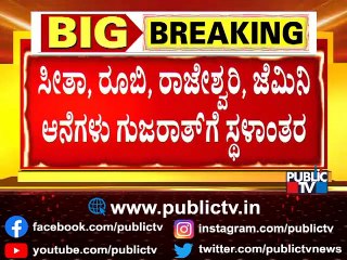 Four Elephants Of Mysuru Palace To Be Rehabilitated In Gujarat After Dasara | Public TV