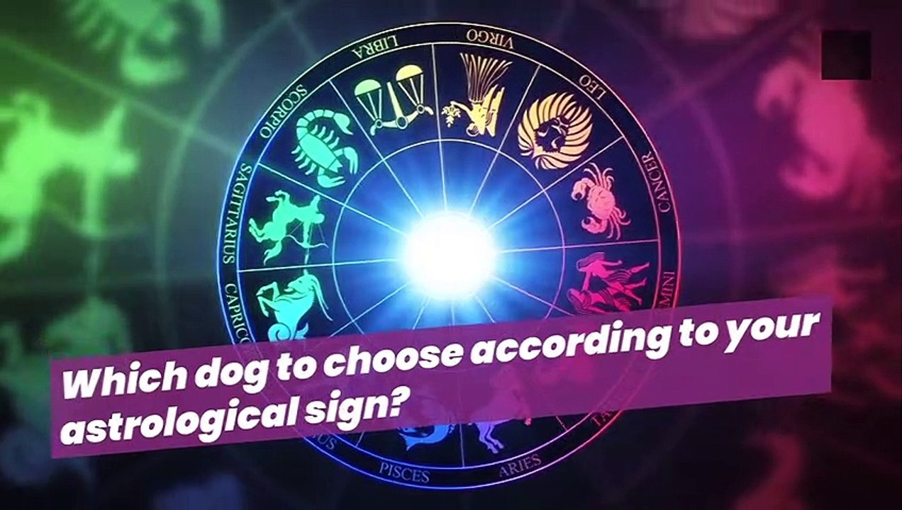 Which dog to choose according to your astrological sign?