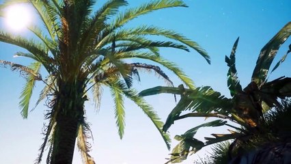 Tráiler de Beasts of Bermuda