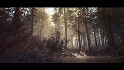 Un viaje por los aterradores bosques de Blair Witch