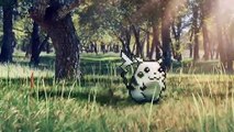 Una larga saga continúa con Pokémon Espada y Escudo en Nintendo Switch