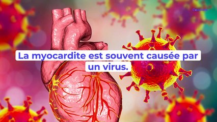 Myocardite : symptômes, causes, traitements