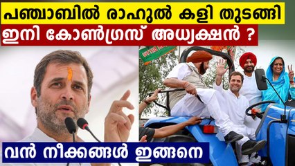 കോൺഗ്രസ് അധ്യക്ഷ സ്ഥാനത്തേക്ക് മടങ്ങാന്‍ രാഹുല്‍..നീക്കങ്ങൾ ഇങ്ങനെ | Oneindia Malayalam