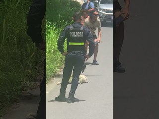 Police Escort Sloth as It Slowly Crosses Road
