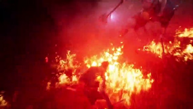 Primer tráiler de Project Relic, un videojuego que sorprende por su trepidante acción