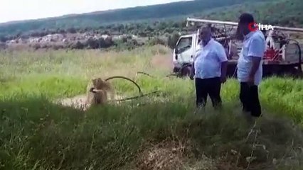 Sıcak su çıkarmak için sondaj vurulan tarladan maden suyu fışkırdı