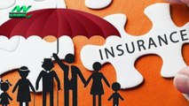 Going To Buy Term Insurance Keep These Special Things In Mind, You Wil