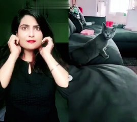 Best Cat funny short clip #catfunny #short