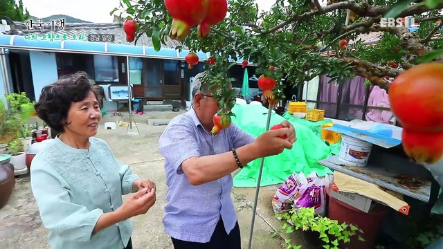 한국기행 - 나의 고향으로 오라 3부- 니캉 내캉 날 좀 보소, 밀양아리랑_#001