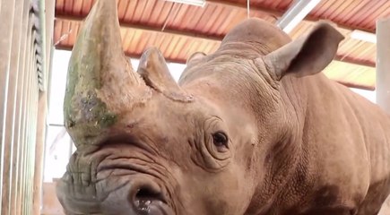 เรื่องพลบค่ำ ช่วงที่ 4 วันอังคารที่ 21 ก.ย.64