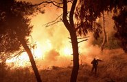 Summer Wildfires Emissions in Northern Hemisphere Break Carbon Emissions Records