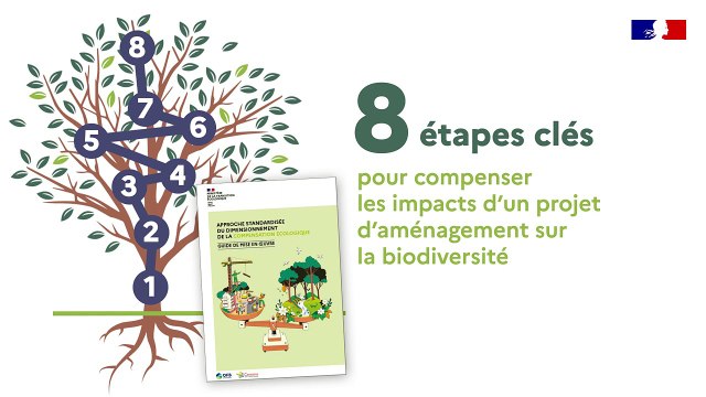 8 étapes clés pour compenser les impacts d’un projet d’aménagement sur la biodiversité