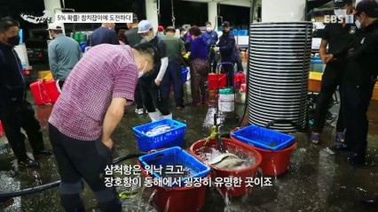 바닷가 사람들 - 5%의 확률! 참치잡이에 도전하다 1부_#001