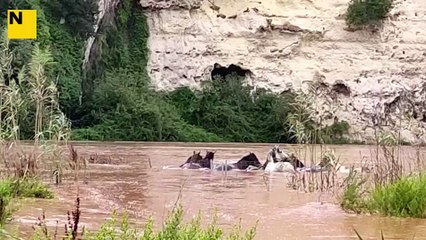 Inundacions a Menorca