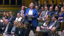Jill Mortimer takes light-hearted aim at Peter Mandelson in maiden speech