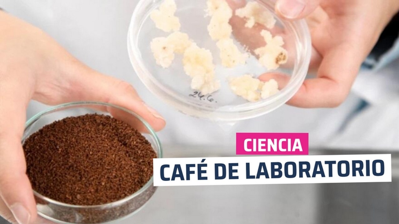[CH] Café creado en laboratorio en Finlandia