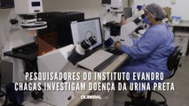 11 pesquisadores do Instituto Evandro Chagas investigam doença da urina preta