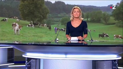 Agriculture : le lait bio, la fin d'une bonne affaire ?