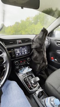 Windshield Wipers Entertain Lab