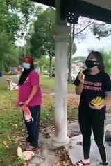 Pequeño perrito que fue secuestrado por un mono