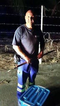 Cobra Rescued from Fishing Net Stuck in Barbed Wire Fence