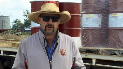 Farmers prepare to face another invasion in battle against mouse plague