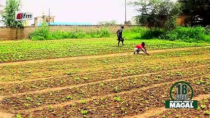 EN ROUTE VERS LE MAGAL - Pr : Faty Dieng - 21 Septembre 2021