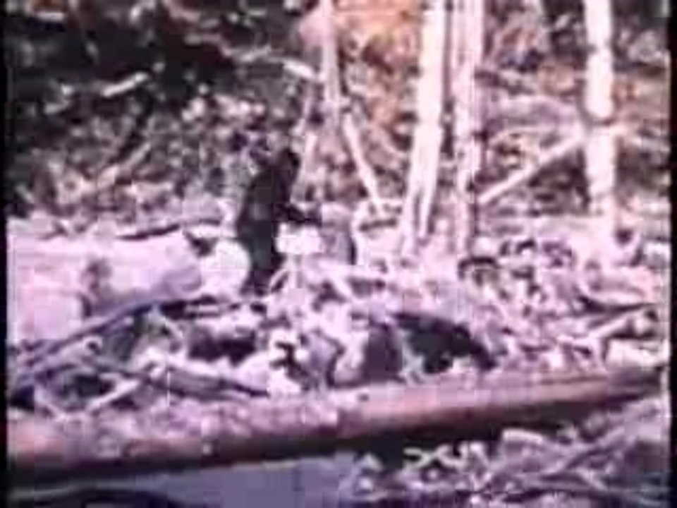 Ancient Mysteries Bigfoot Pt.2