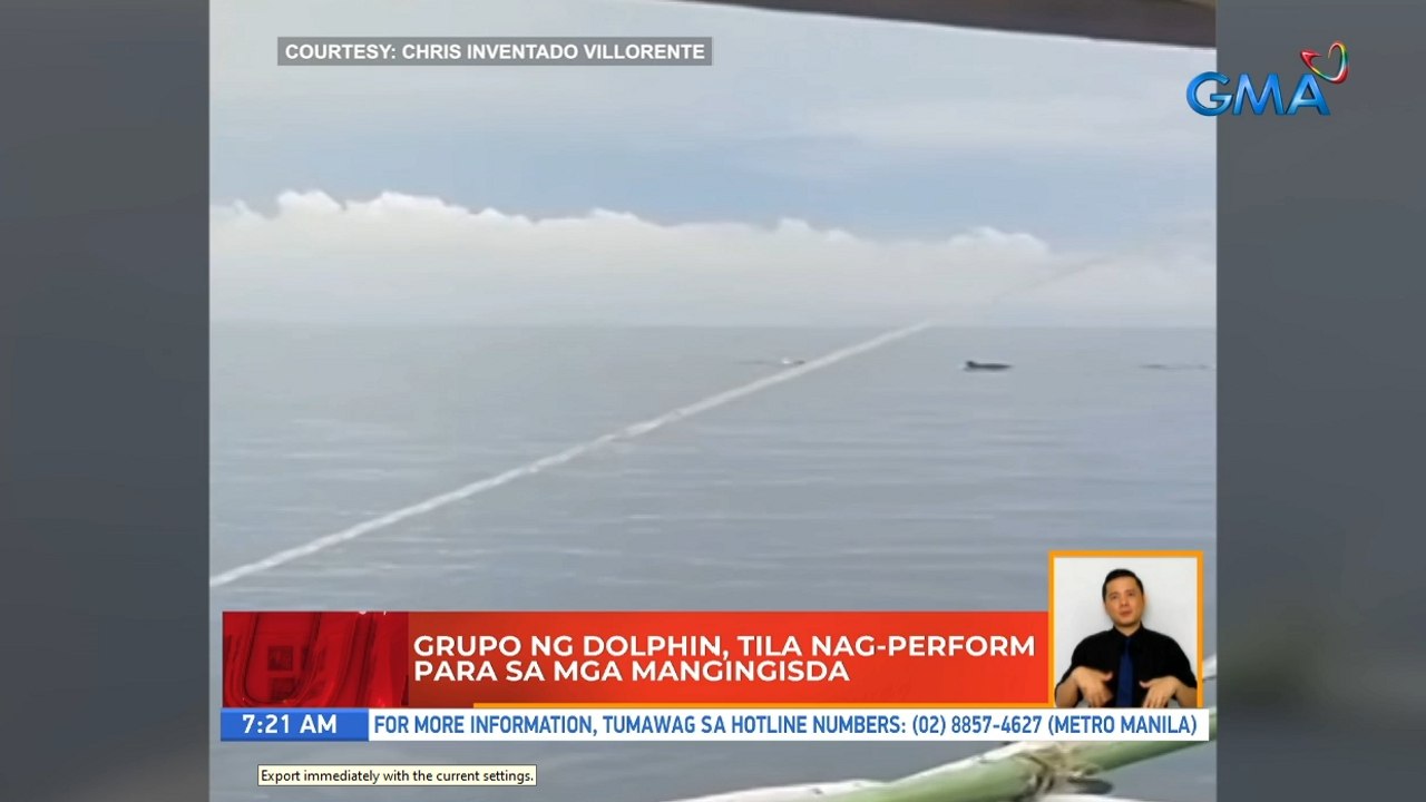 Grupo ng dolphin, tila nag-perform para sa mga mangingisda | UB