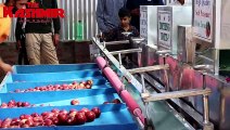 Budgam orchardist acquires commercial apple washing & grading machine