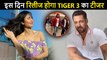 Revealed | Salman Khan & Katrina Kaif's Tiger 3 Teaser Release Date